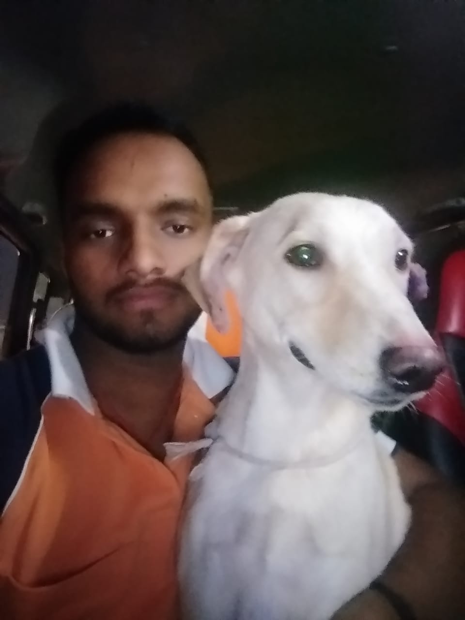 Rocky testimonial image