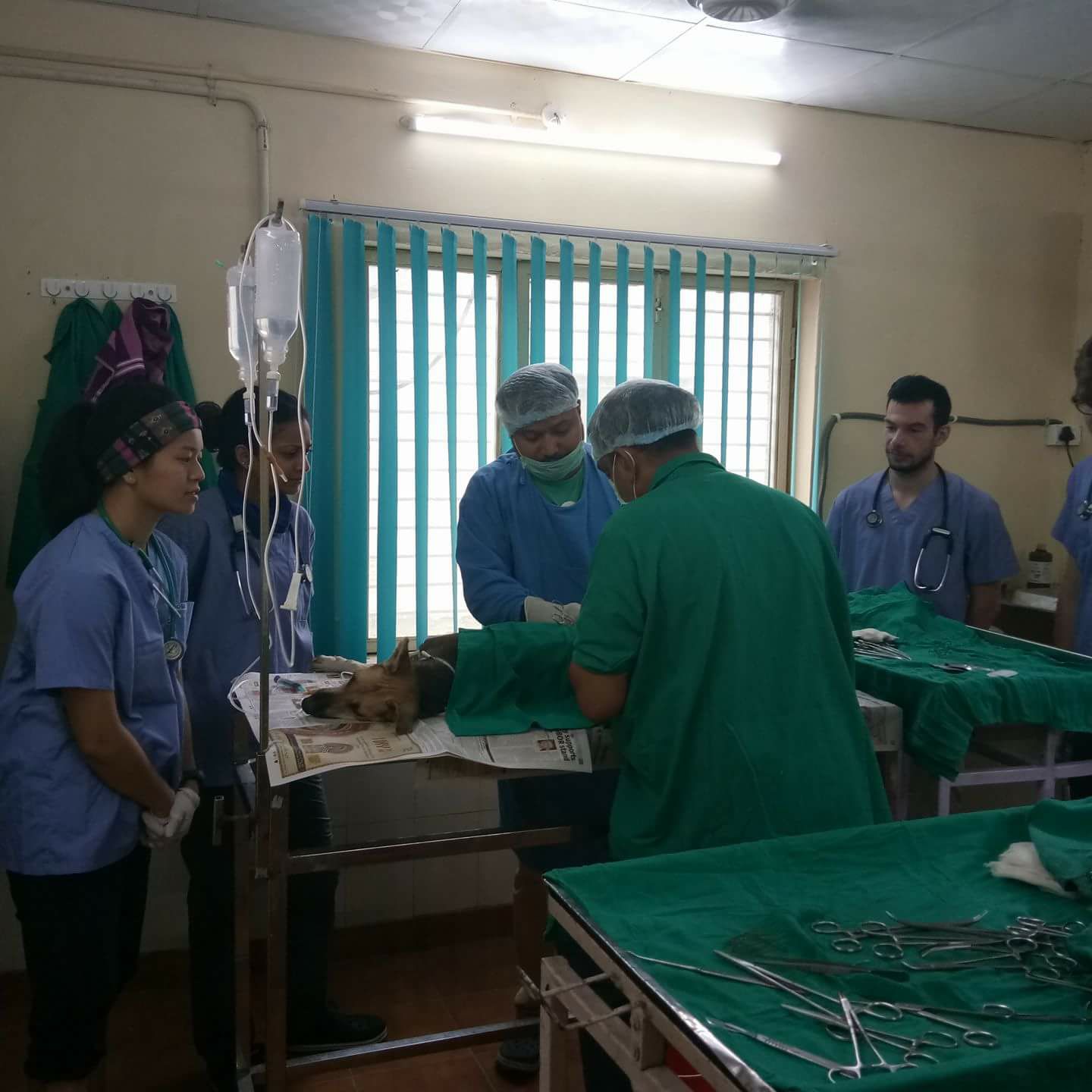 Ash testimonial image