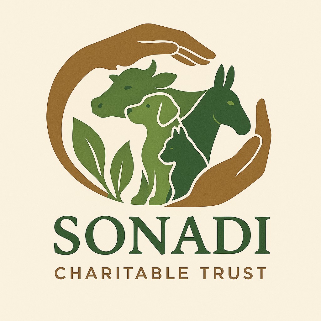 Sonadi Charitable Trust Logo